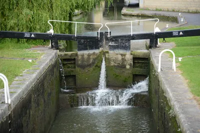 DSC_2702 (Large).JPG